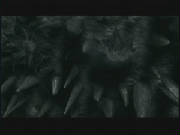 stalagtites.jpg
