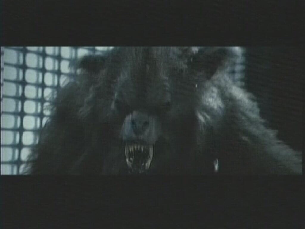 unknown_werewolf2.jpg